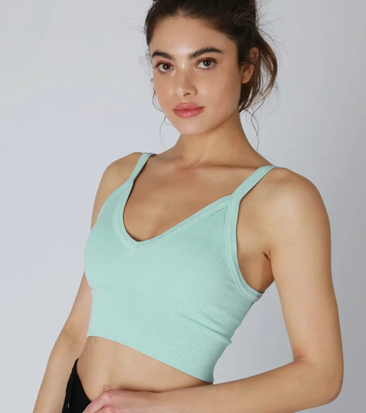 Island Aqua bra top
