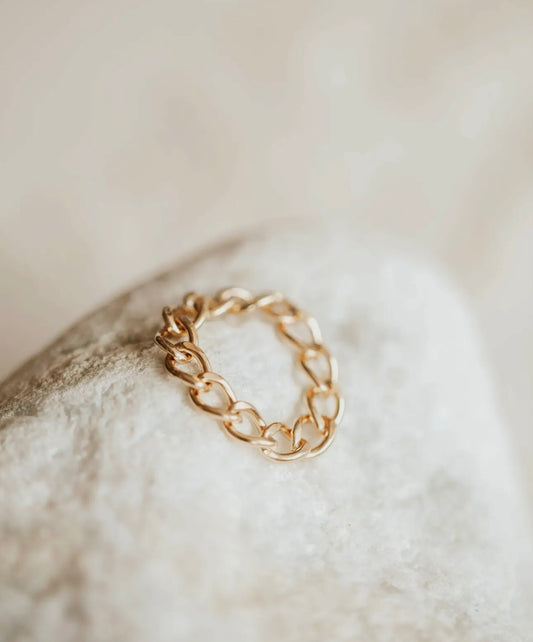 Dylan chain ring